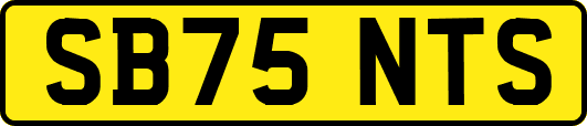 SB75NTS