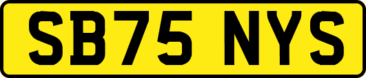 SB75NYS