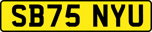 SB75NYU