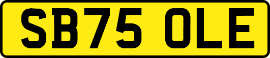 SB75OLE