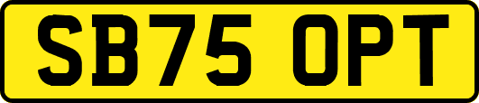 SB75OPT