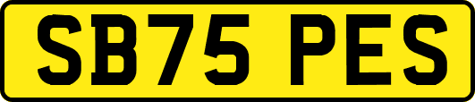 SB75PES