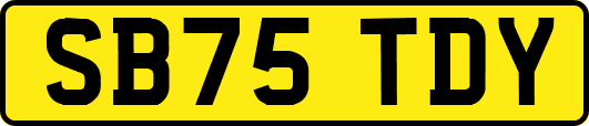 SB75TDY