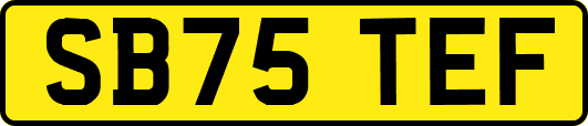 SB75TEF