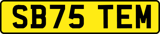 SB75TEM