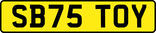 SB75TOY