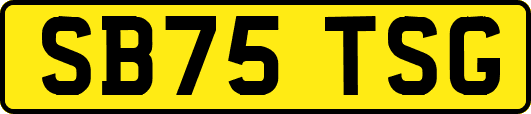 SB75TSG