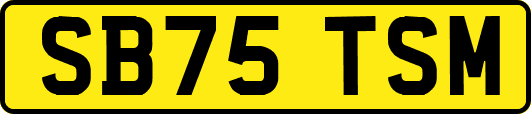 SB75TSM