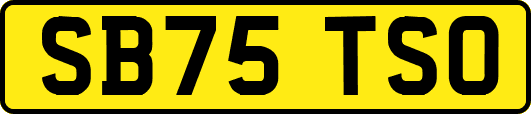 SB75TSO