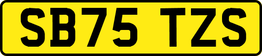 SB75TZS