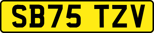 SB75TZV