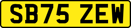 SB75ZEW