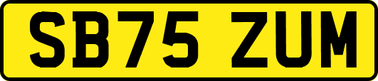 SB75ZUM