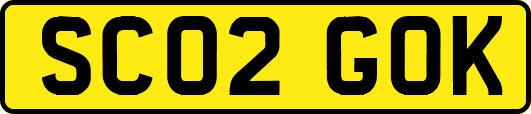SC02GOK
