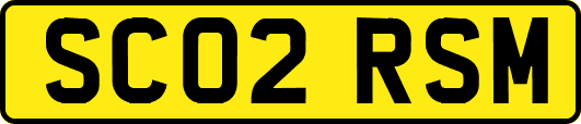 SC02RSM