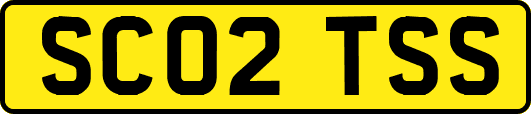 SC02TSS