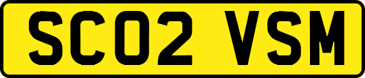 SC02VSM