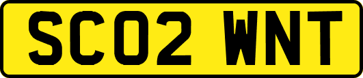 SC02WNT