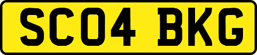 SC04BKG