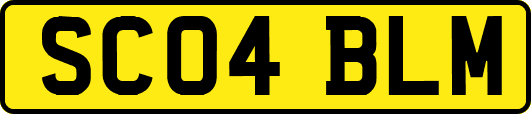 SC04BLM