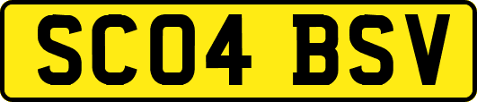 SC04BSV