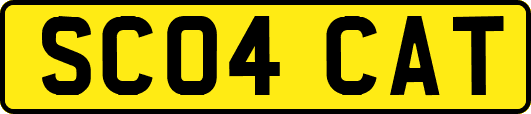 SC04CAT