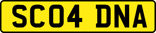 SC04DNA
