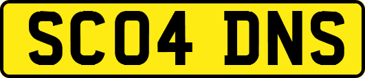SC04DNS