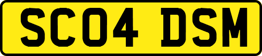 SC04DSM