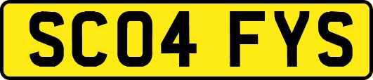 SC04FYS