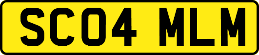 SC04MLM