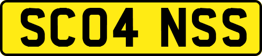 SC04NSS