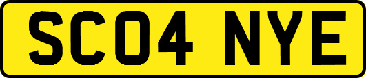 SC04NYE