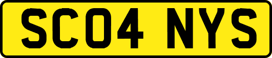 SC04NYS