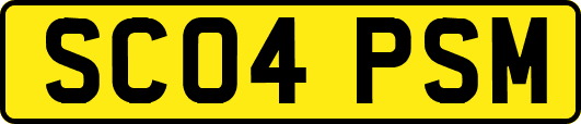 SC04PSM