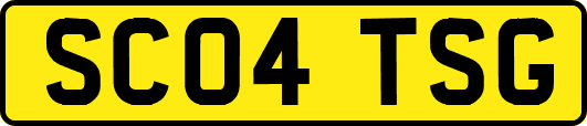 SC04TSG