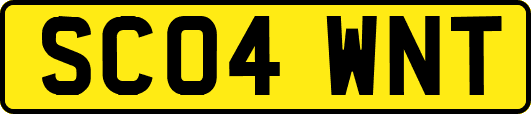 SC04WNT