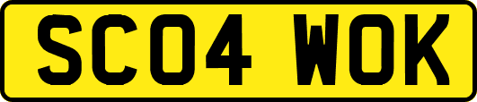 SC04WOK