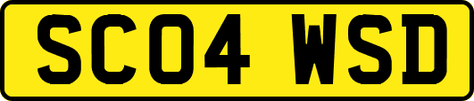 SC04WSD