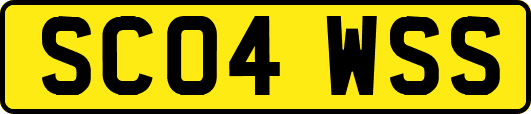 SC04WSS