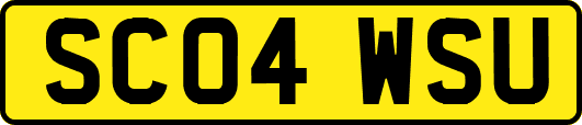 SC04WSU