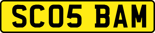 SC05BAM