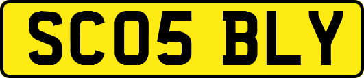 SC05BLY