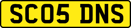 SC05DNS