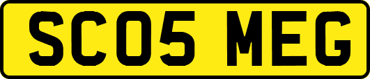 SC05MEG