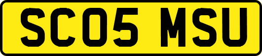 SC05MSU