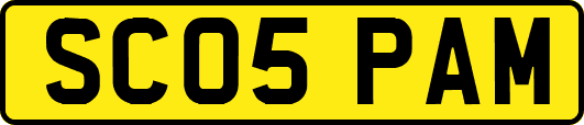 SC05PAM
