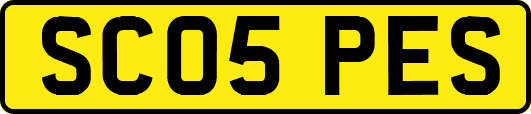 SC05PES