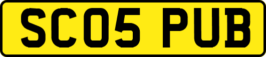 SC05PUB