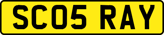 SC05RAY